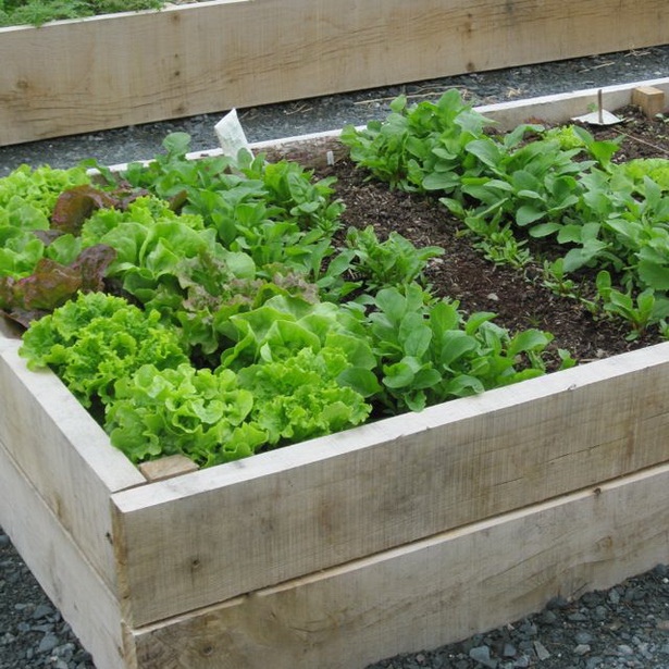 raised-veggie-garden-ideas-44_8 Идеи за зеленчукова градина