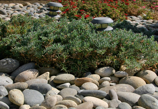 river-rock-stones-for-landscaping-09 Речни скални камъни за озеленяване
