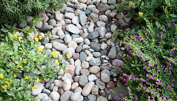 river-rock-stones-for-landscaping-09_14 Речни скални камъни за озеленяване