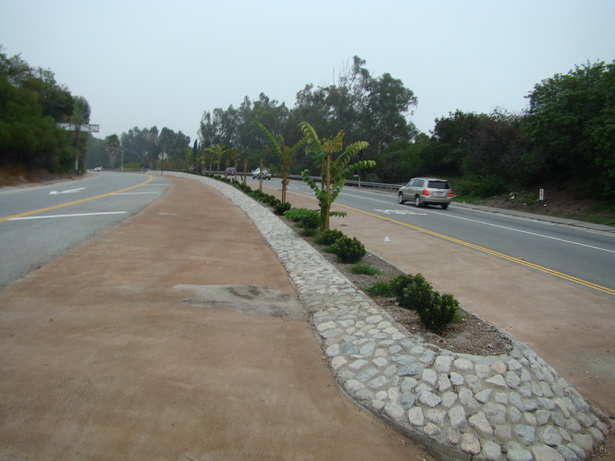 roadside-landscaping-ideas-81_19 Идеи за озеленяване на пътя
