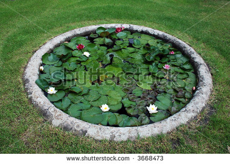 round-garden-pond-80_16 Кръгло градинско езерце