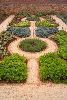 round-herb-garden-design-33_5 Кръгла билкова градина дизайн