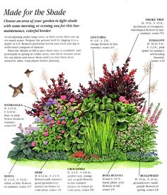 shady-garden-ideas-17_8 Идеи за сенчести градини