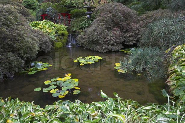 shallow-garden-pond-19_12 Плитко градинско езерце
