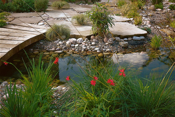 shallow-garden-pond-19_4 Плитко градинско езерце