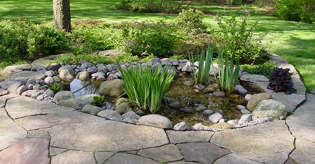 shallow-garden-pond-19_6 Плитко градинско езерце