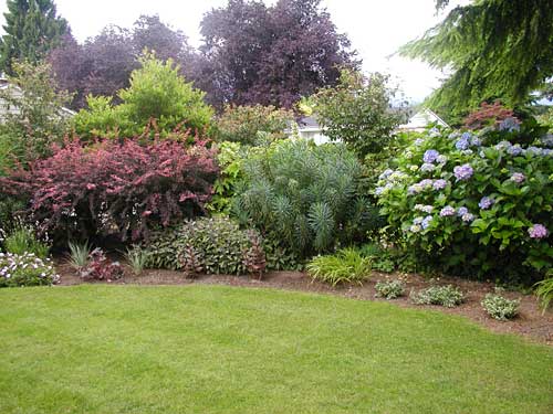 shrub-garden-design-ideas-77_17 Идеи за дизайн на храстова градина