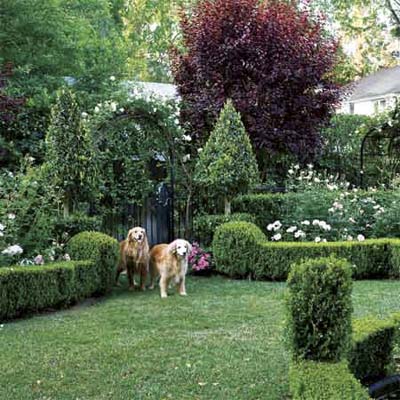 shrub-garden-design-ideas-77_5 Идеи за дизайн на храстова градина