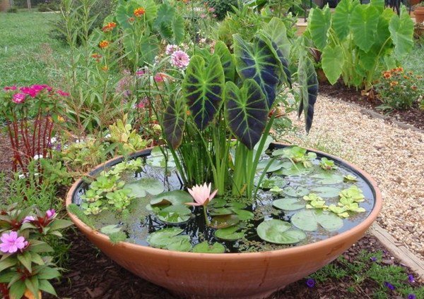 simple-garden-pond-ideas-17_9 Прости идеи за градинско езерце