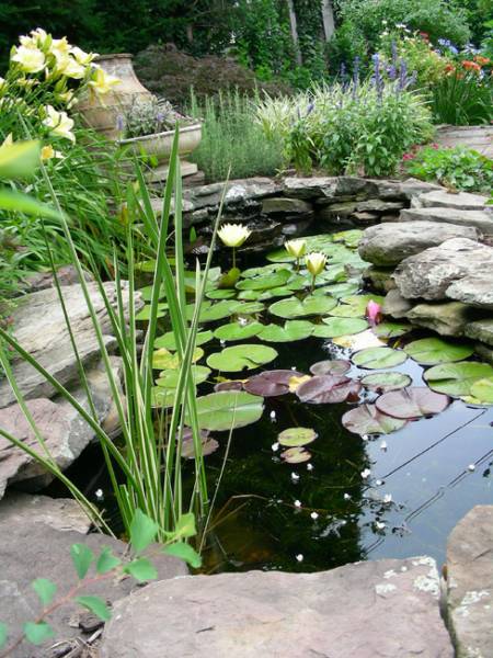 simple-garden-pond-54_18 Обикновено градинско езерце