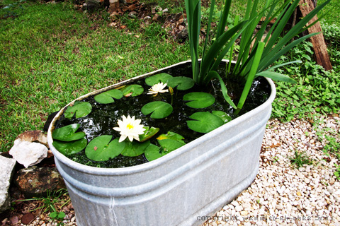 simple-garden-pond-54_2 Обикновено градинско езерце