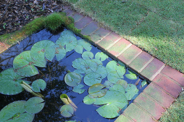 simple-garden-pond-54_9 Обикновено градинско езерце