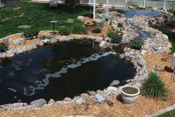 simple-koi-pond-design-63_9 Прост дизайн на езерце кои