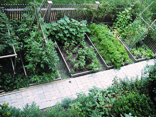 simple-vegetable-garden-design-69_15 Прост дизайн на зеленчукова градина