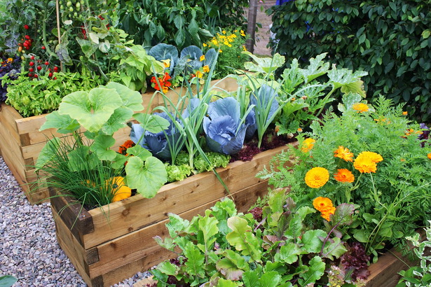 simple-vegetable-garden-21_14 Проста зеленчукова градина
