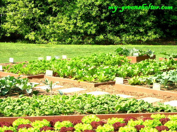 simple-vegetable-garden-21_2 Проста зеленчукова градина