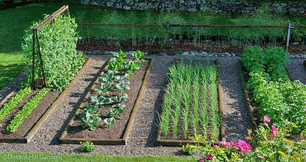 simple-vegetable-garden-21_5 Проста зеленчукова градина