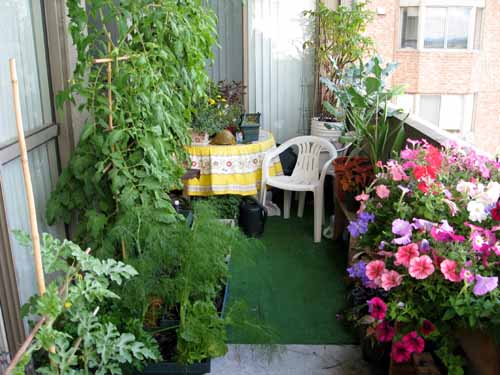 small-apartment-balcony-garden-ideas-84_10 Малък апартамент балкон градински идеи