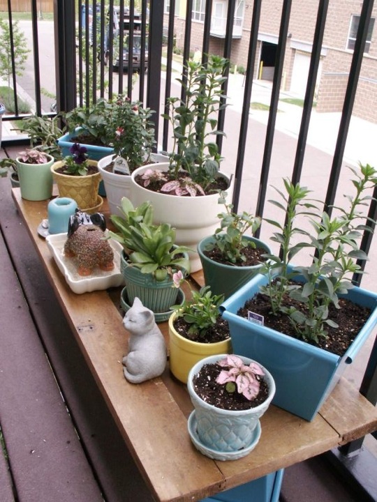 small-apartment-patio-garden-ideas-44 Малък апартамент вътрешен двор градински идеи