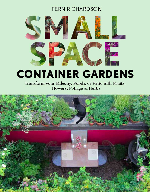 small-apartment-patio-garden-ideas-44_15 Малък апартамент вътрешен двор градински идеи