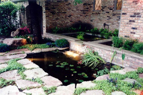 small-backyard-koi-pond-94_11 Малък заден двор кой езерце