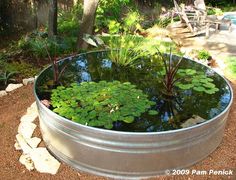 small-backyard-pond-ideas-18_16 Малък двор езерце идеи