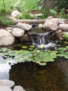 small-backyard-ponds-and-waterfalls-58_7 Малки Дворни езера и водопади