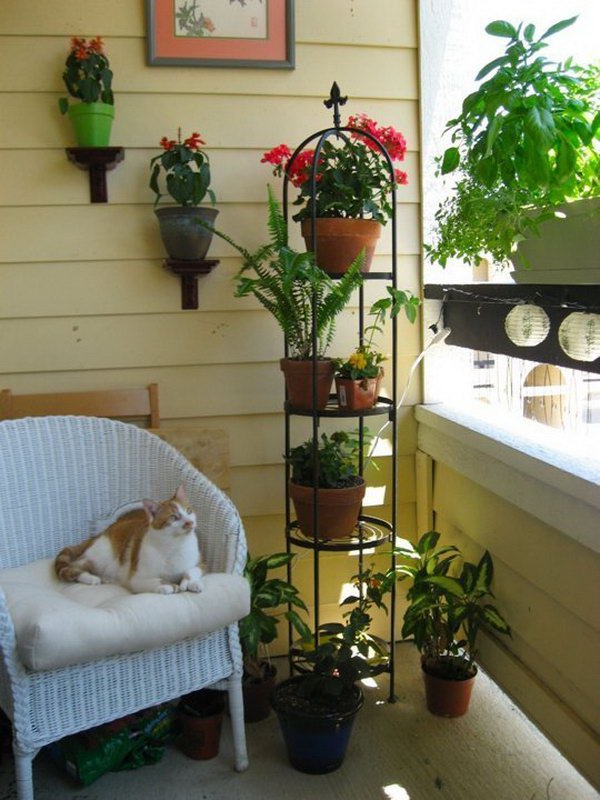 small-balcony-garden-ideas-30_9 Малък балкон градински идеи