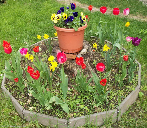 small-garden-flower-ideas-84_11 Идеи за малки градински цветя
