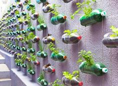small-garden-ideas-for-kids-12_11 Малки градински идеи за деца