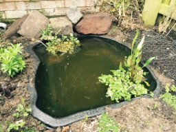 small-garden-ponds-for-sale-90_12 Малки градински езера за продажба