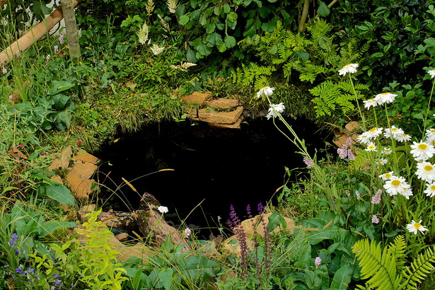 small-garden-wildlife-pond-08_15 Малка градинска дива природа езерце