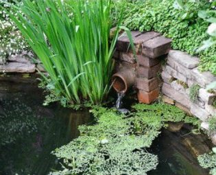 small-goldfish-pond-ideas-94 Малки идеи за езерце за златни рибки