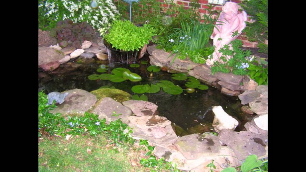 small-goldfish-pond-ideas-94_15 Малки идеи за езерце за златни рибки