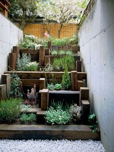 small-herb-garden-design-ideas-74_13 Малки идеи за градински дизайн на билки