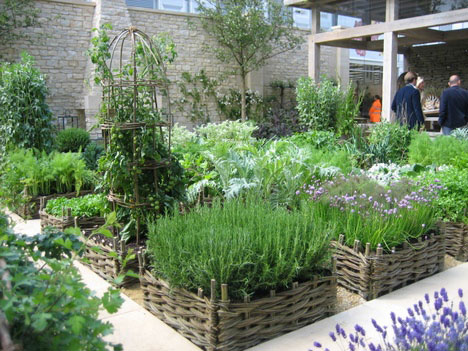 small-herb-garden-plan-88_18 План за малка билкова градина