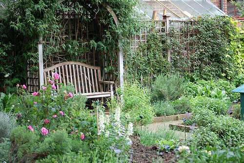 small-herb-garden-plan-88_8 План за малка билкова градина