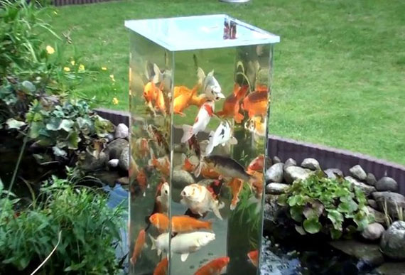 small-outdoor-pond-ideas-91_2 Малки идеи за открито езерце