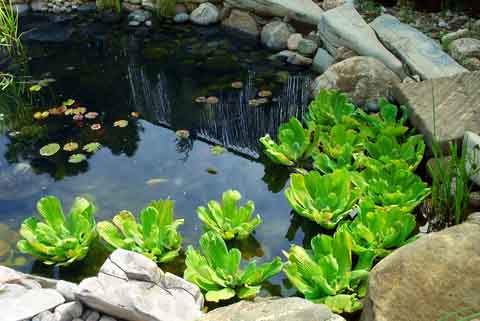 small-outdoor-pond-kits-31_2 Малки външни езерца Комплекти