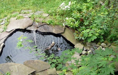 small-outdoor-pond-95 Малко външно езерце