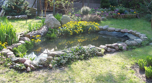 small-pond-in-garden-02_13 Малко езерце в градината