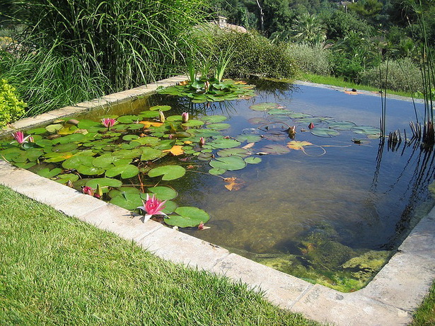 small-pond-landscaping-ideas-03_12 Малки езерце озеленяване идеи