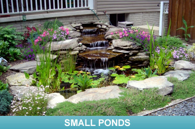 small-pond-supplies-78_18 Малки езерце доставки