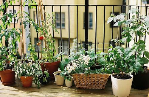 small-porch-garden-ideas-95_7 Малка веранда градински идеи