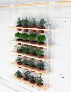 small-space-herb-garden-ideas-98_8 Идеи за малка градина с билки