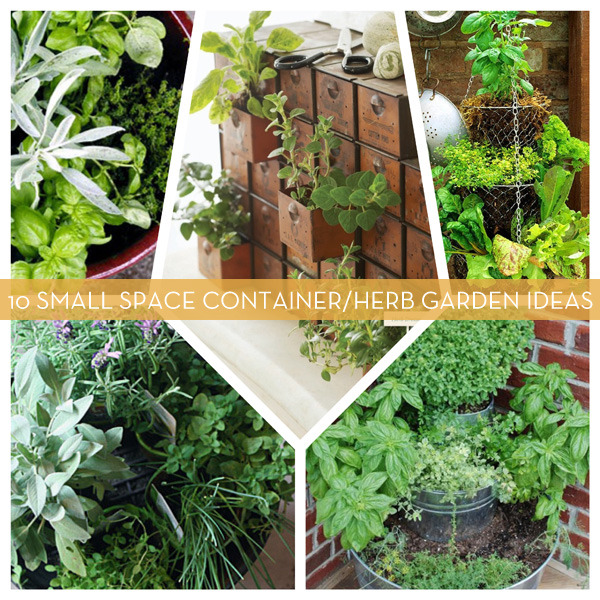 small-space-herb-garden-40_11 Малка космическа билкова градина