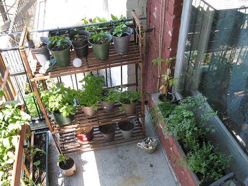 small-terrace-garden-design-ideas-08_17 Малка тераса градински дизайн идеи