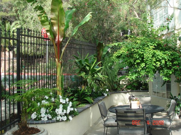 Малка тропическа градина дизайн снимки