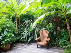 small-tropical-garden-design-pictures-95_3 Малка тропическа градина дизайн снимки