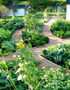 small-vegetable-garden-designs-57_4 Дизайн на малка зеленчукова градина